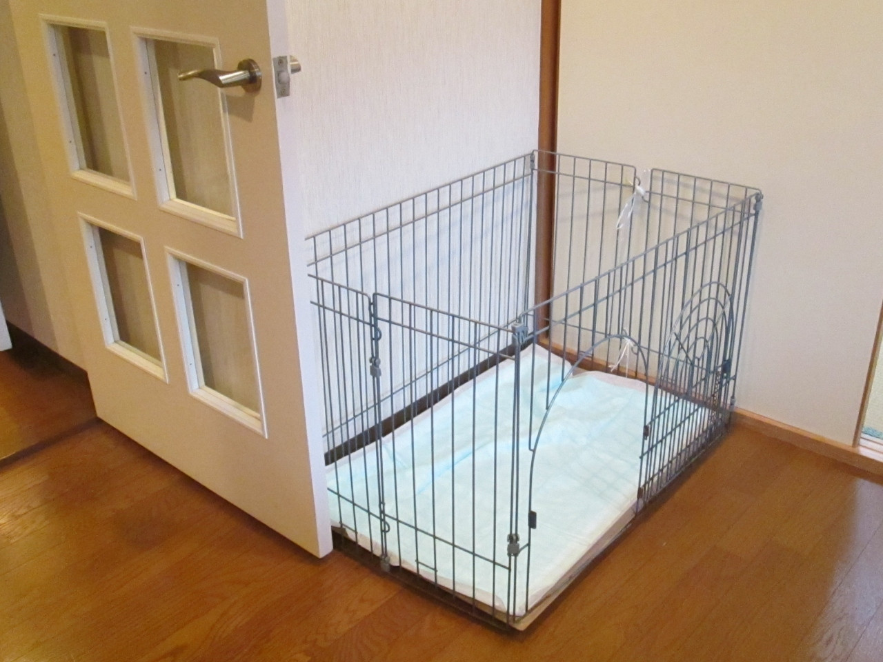 暮らすように旅が楽しめるコンドミニアム4266126