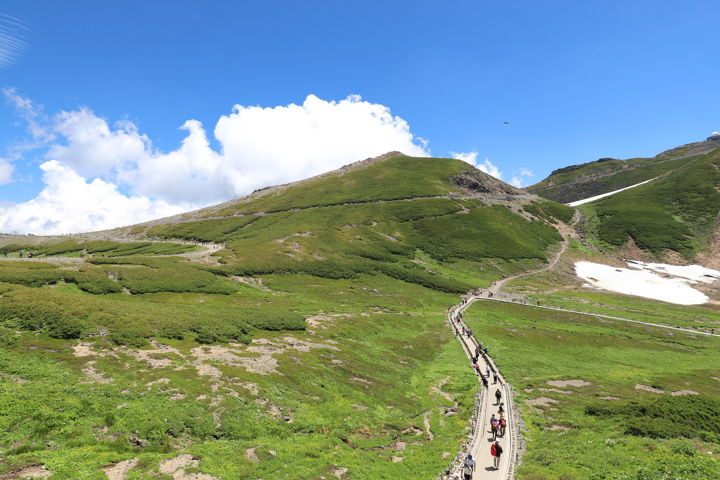 乗鞍岳　畳平の夏