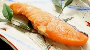 食事・飲み物 / 28