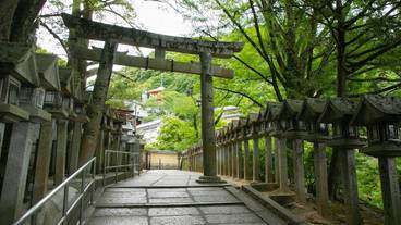 観光スポット / 14