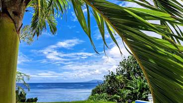 テラス / パティオ / 23