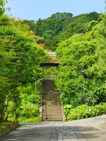 東慶寺2478742