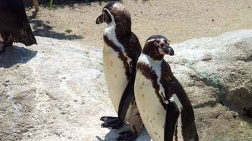 観光スポット / 15