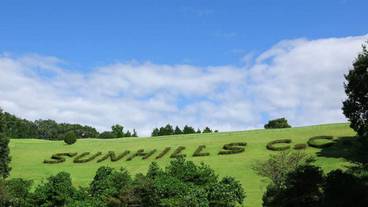 施設の敷地 / 15