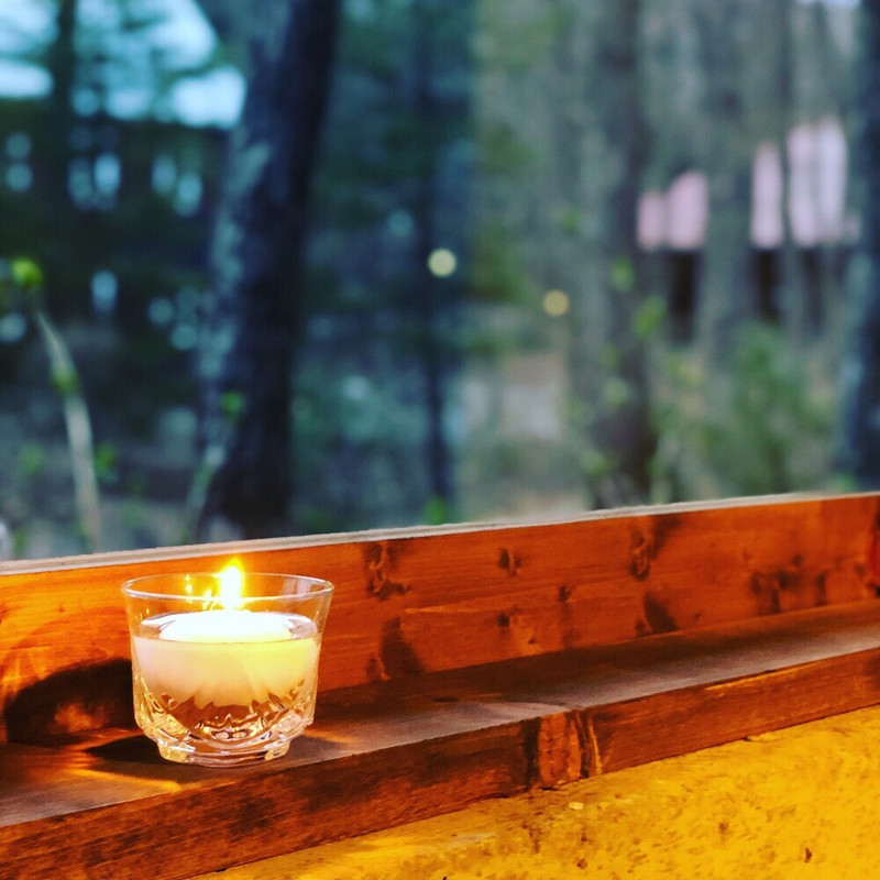 テラス / パティオ