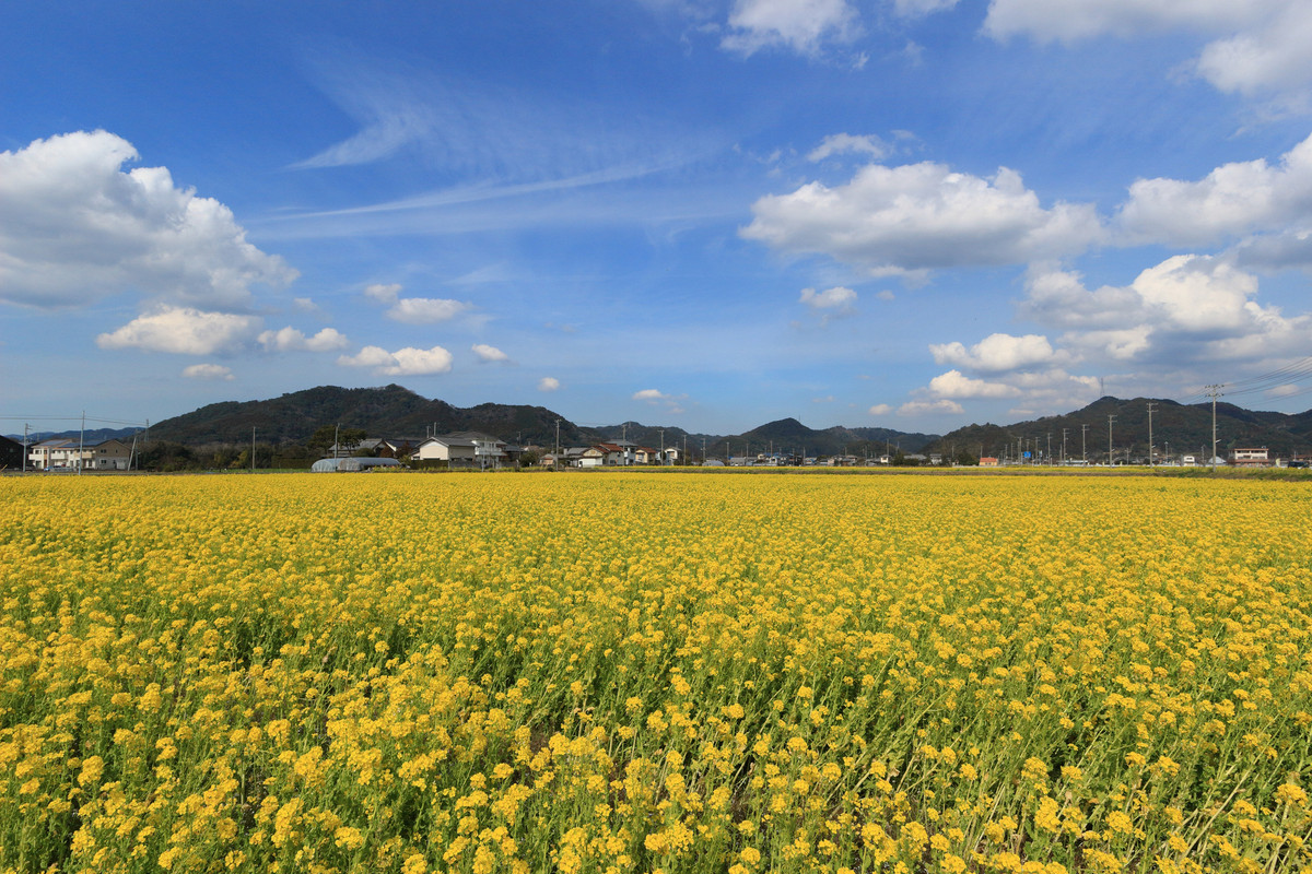 房総鴨川温泉 是空 -ZEKUU-(ボウソウカモガワオンセン ゼクウ) / 2