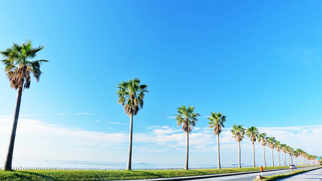 まるで海外のよう
景観を楽しんで帰路へ / 1