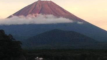 施設の敷地 / 15
