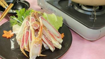 食事・飲み物 / 18