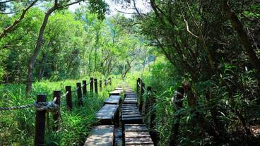 観光スポット / 10