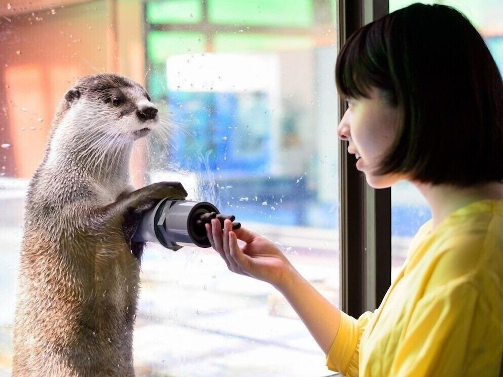 子供向けアクティビティ