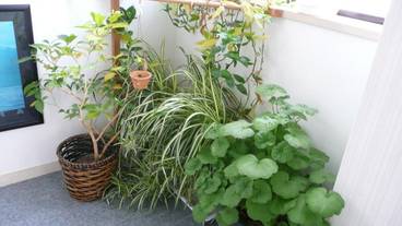 施設の敷地 / 12