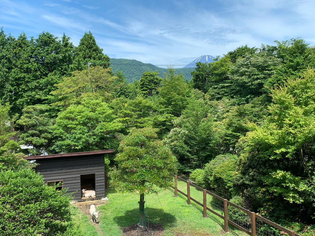 gokutabi_tripさんの写真 / 2