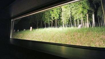 部屋からの景観 / 9