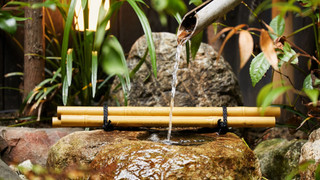 ラグジュアリー ヴィラ ガーデンビュー