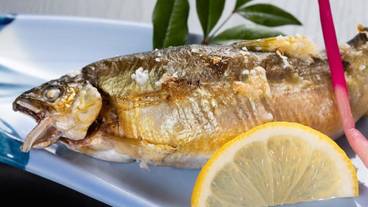 食事・飲み物 / 10