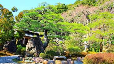 施設の敷地 / 14