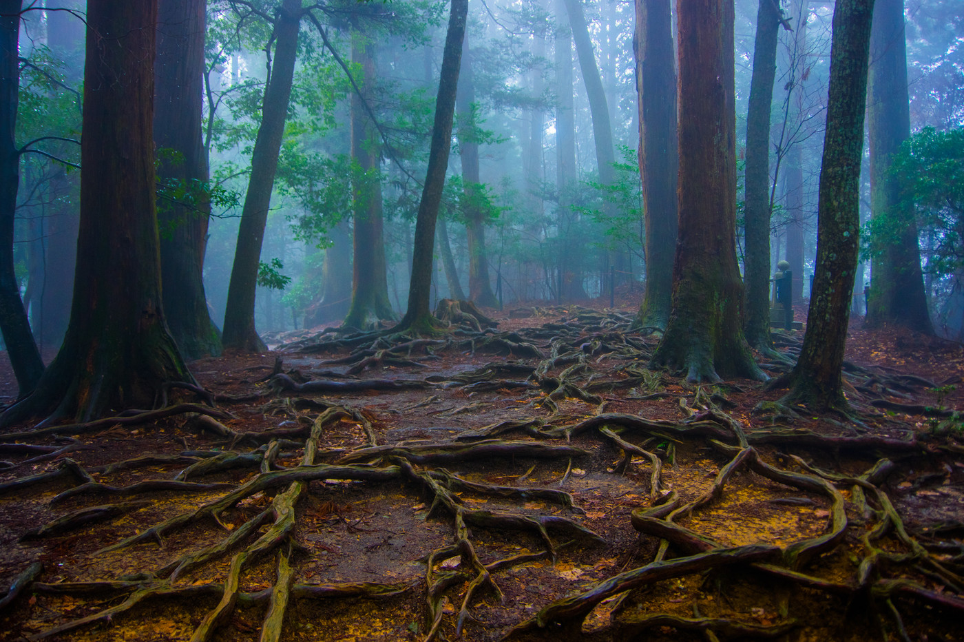 鞍馬山