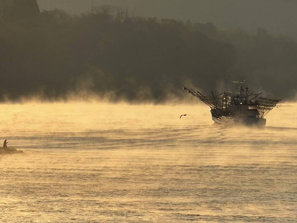 施設からの眺望
