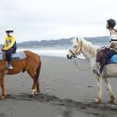 ペンション フローラ（千葉県 ペンション） / 4