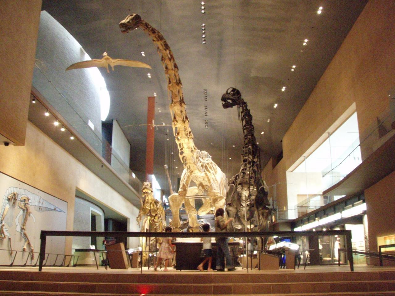9　圧倒的スケールの恐竜博物館は必見！「北九州市立いのちのたび博物館」1383498