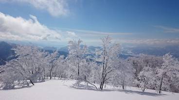 スノー スポーツとスキー / 1