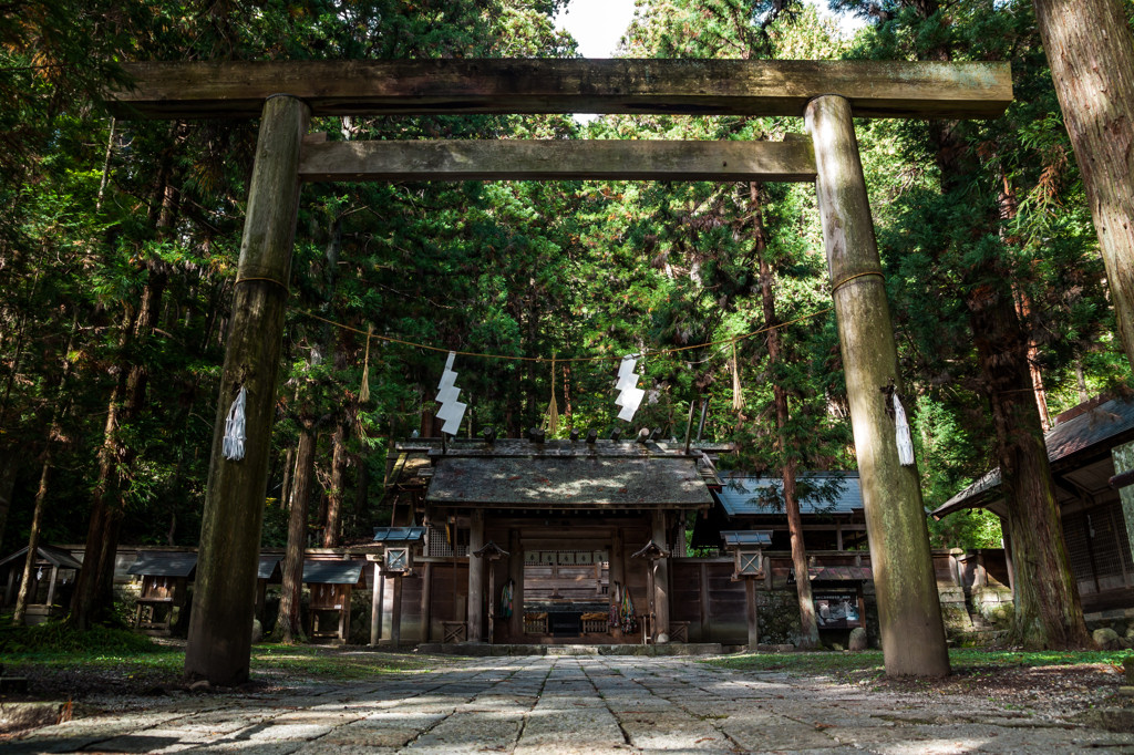 森の中にたたずみ、力あふれる荘厳な神社2047831
