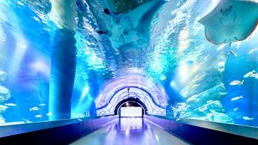 施設内の設備 / 8