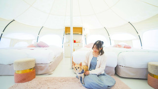 Ariake (Large Dog Suite Tent・ペット可・3ベッド) 禁煙