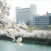 KKRホテル大阪（国家公務員共済組合連合会 大阪共済連合会）（大阪府 ビジネスホテル） / 4