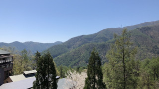 スタンダード和洋室 (キッチン付) 禁煙