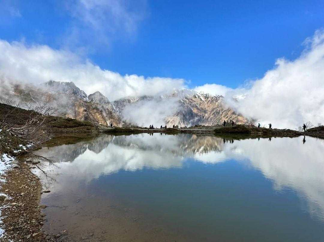 ___chiccchi___さんの写真 / 1