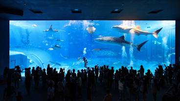 観光スポット / 1