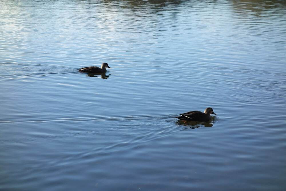 施設からの眺望