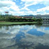 東郷温泉 湖泉閣 養生館（鳥取県 旅館） / 5