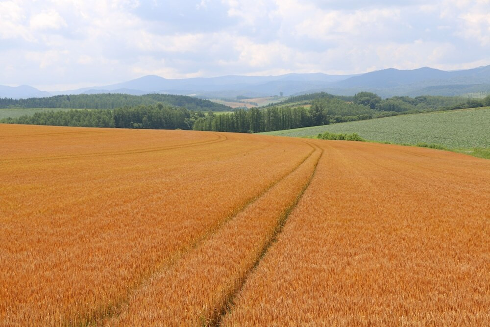 施設からの眺望