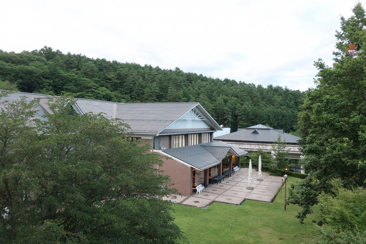 部屋からは中庭が見えます。ここに猿がいました。