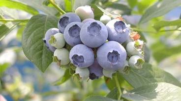 観光スポット / 10