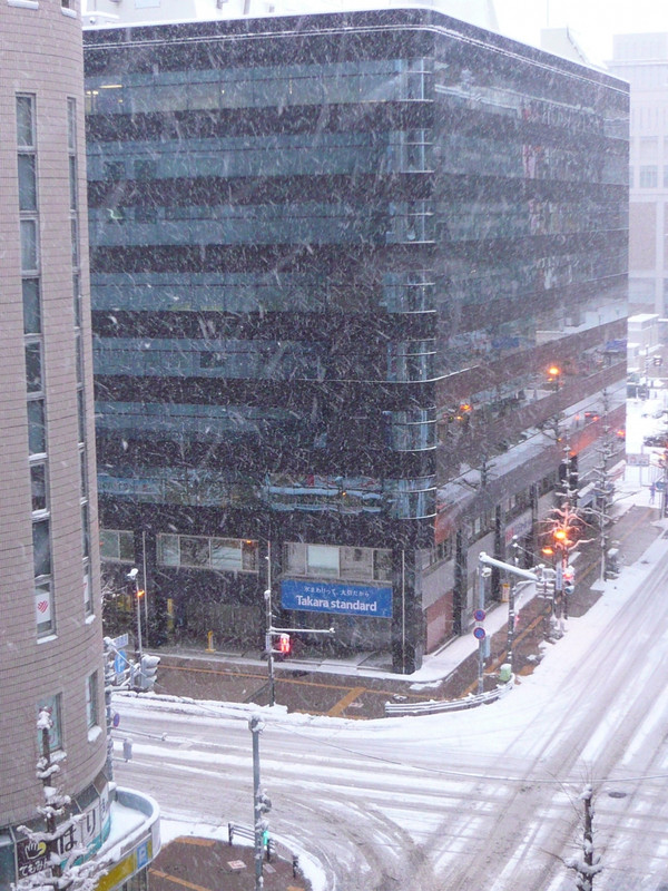 窓からの眺望もバッチでした！