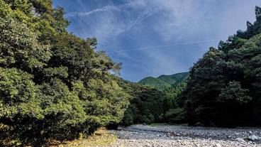 子供向けアクティビティ / 5