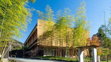 金乃竹 塔ノ澤(キンノタケ トウノサワ) / 2