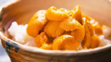 食事・飲み物 / 5