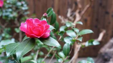 施設からの眺望 / 14