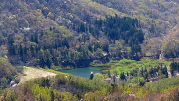 観光スポット / 10