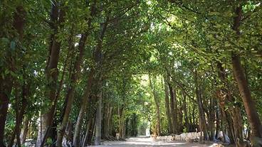 観光スポット / 2