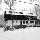 HOUSE OF FINN JUHL HAKUBA(長野県 シティホテル) / 3