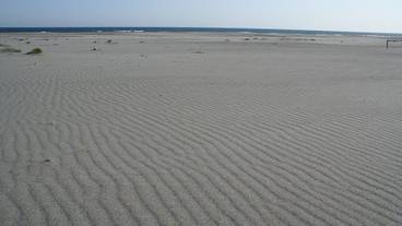 観光スポット / 7