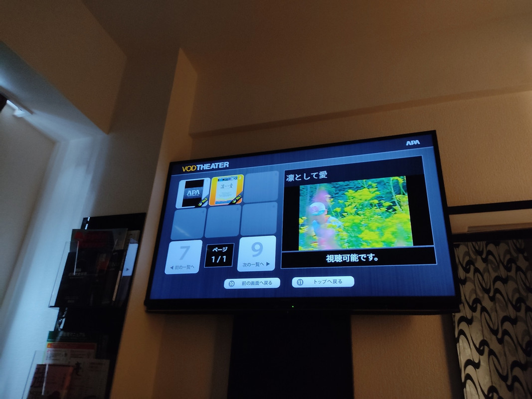 大画面TV(50インチくらい?)