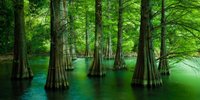 【福岡】美しい風景に癒される旅へ。おすすめ絶景スポット6選