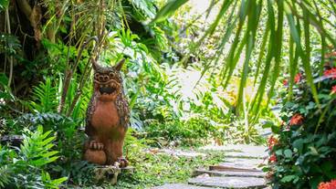 敷地内散歩道 / 4